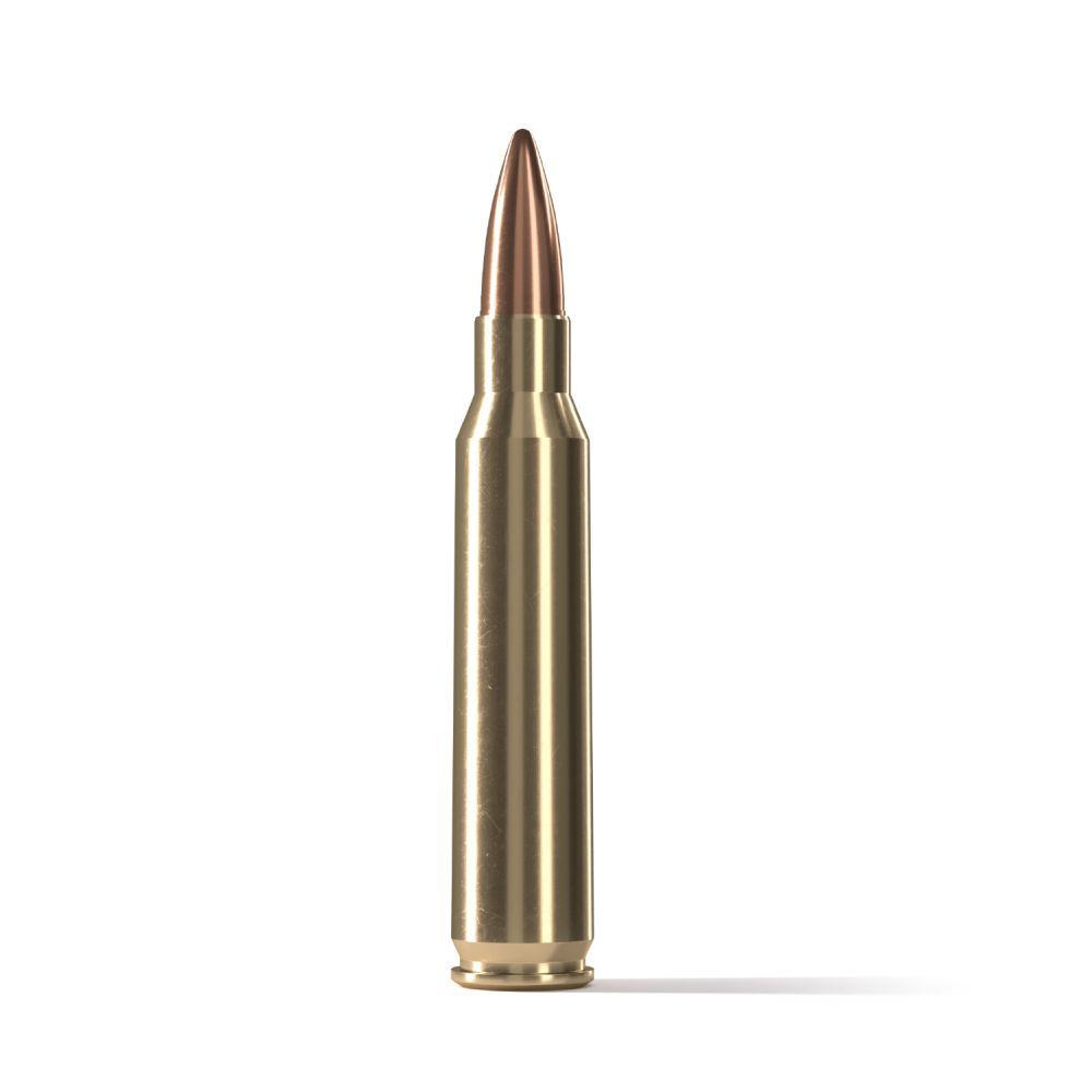 Scorpio 5.56x45 mm NATO M193